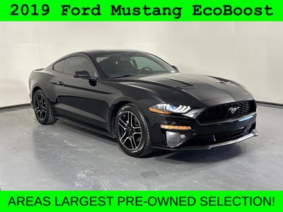2019 Ford Mustang EcoBoost