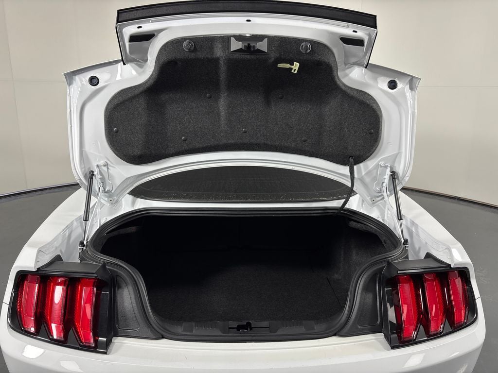 2022 Ford Mustang EcoBoost