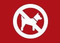 No pets